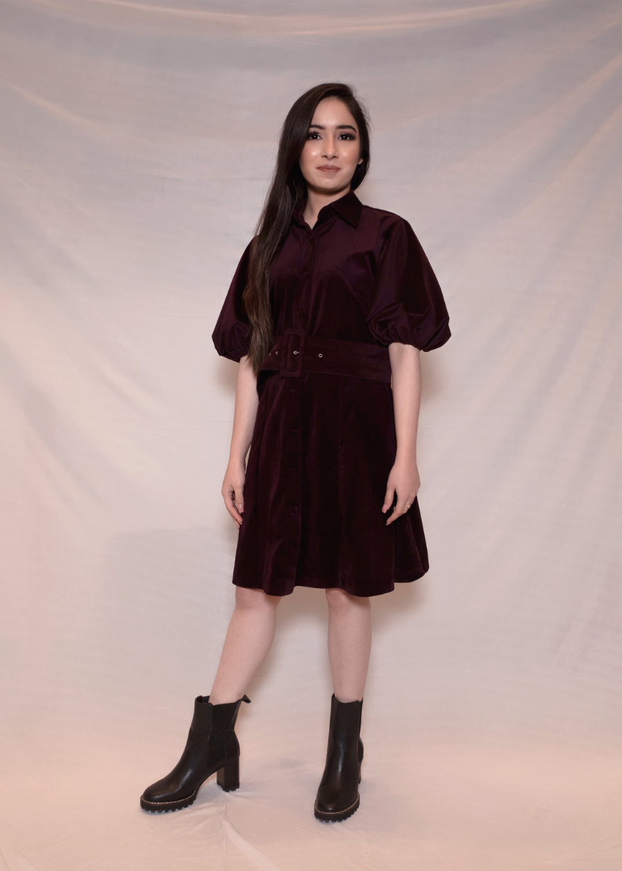 Velvet Dress