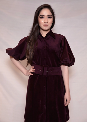 Velvet Dress