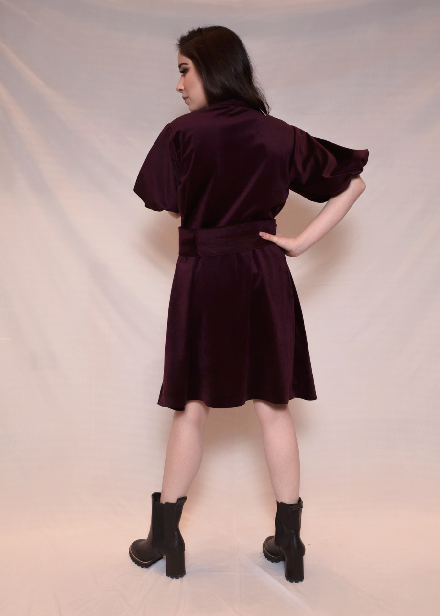 Velvet Dress