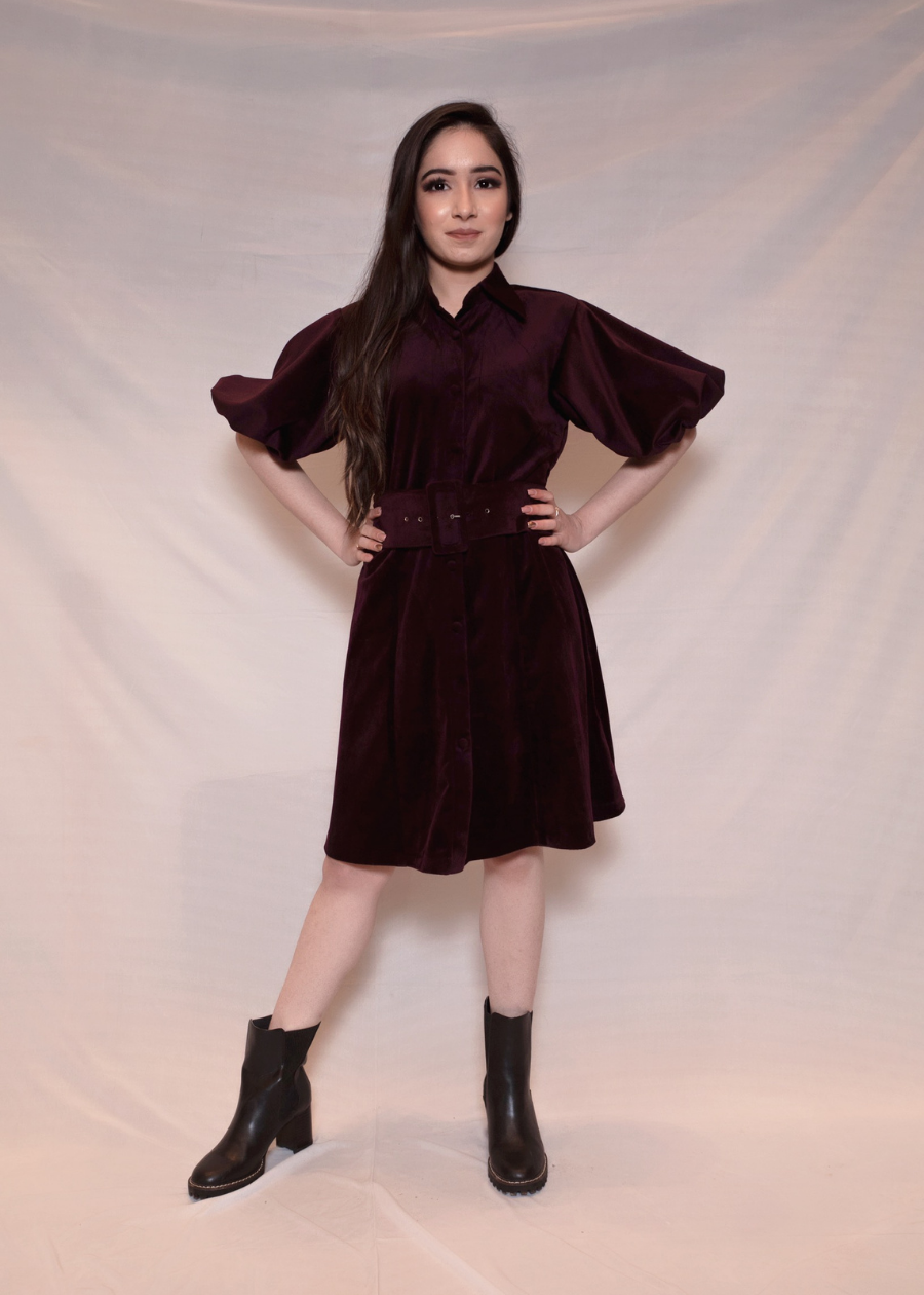 Velvet Dress