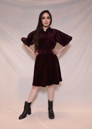 Velvet Dress