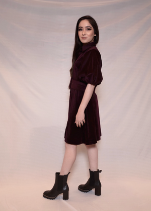 Velvet Dress