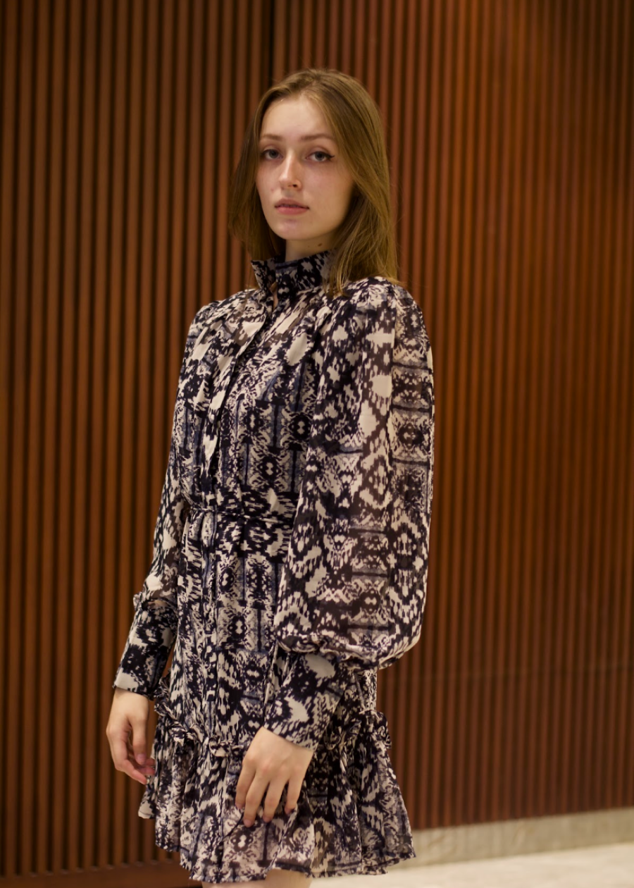 Printed Dress