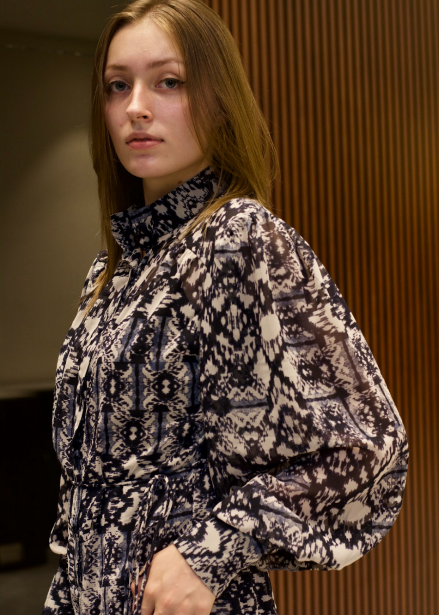 Printed Dress