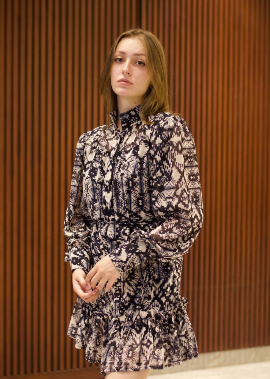 Printed Dress