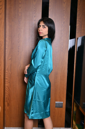 Peacock Button Down Dress